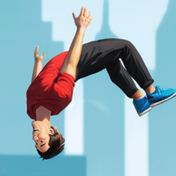 Flip Master